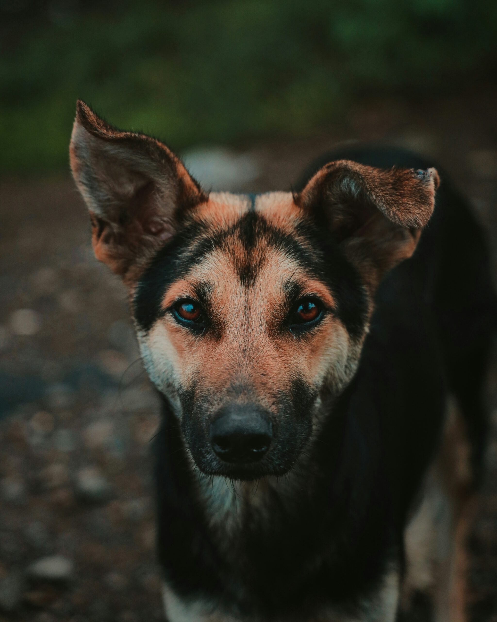 Read more about the article Witaj, świecie!